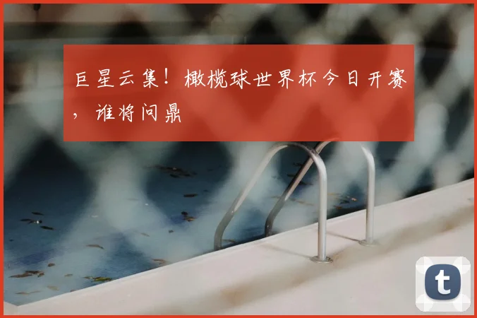 巨星云集!橄榄球世界杯今日开赛,谁将问鼎