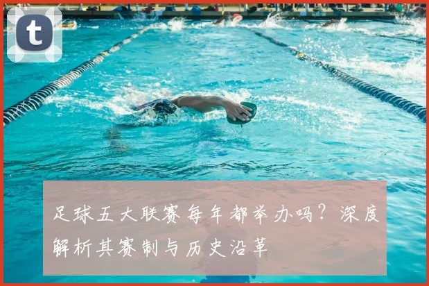 足球五大联赛每年都举办吗？深度解析其赛制与历史沿革